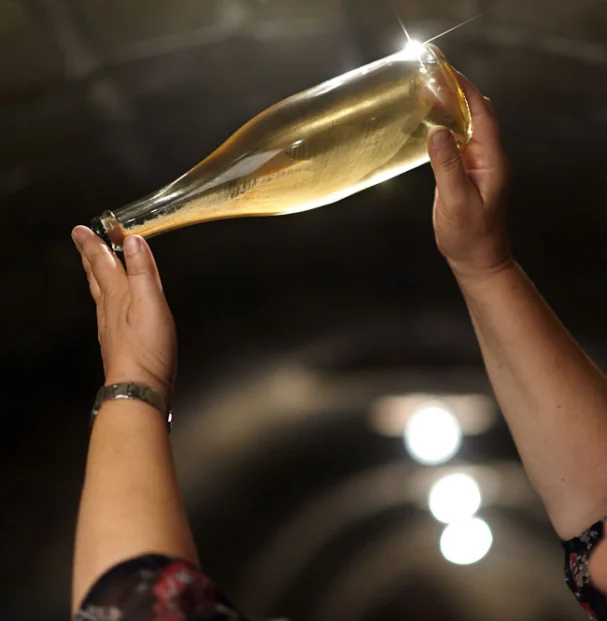 Bouteille de champagne en cave